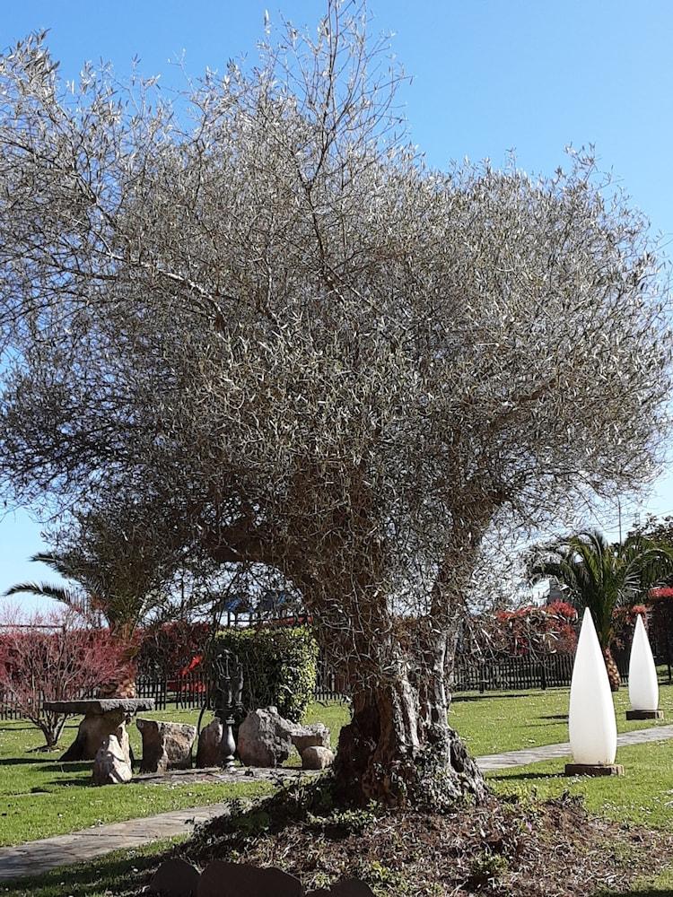 Hotel Marques De La Moral Naveces Екстериор снимка